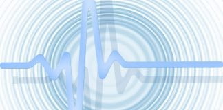 Mikrobiota jelitowa a odporność na infekcje sezonowe – jak się przygotować na jesień i zimę